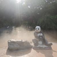 阿海