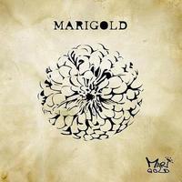 Marigold