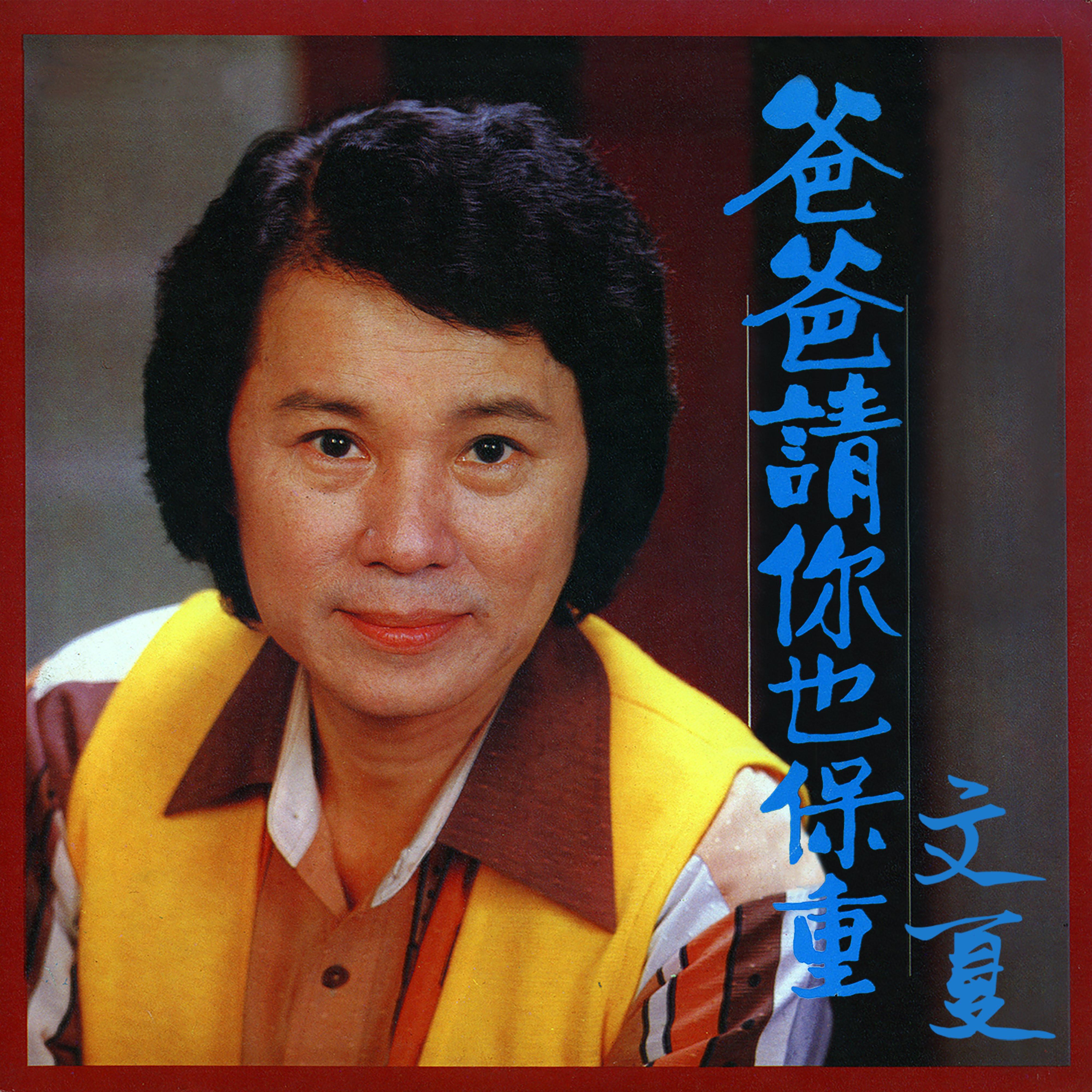 梦追酒 - 文夏封面