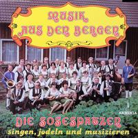 Musik aus den Bergen - Die Sösespatzen singen, jodeln und musizieren