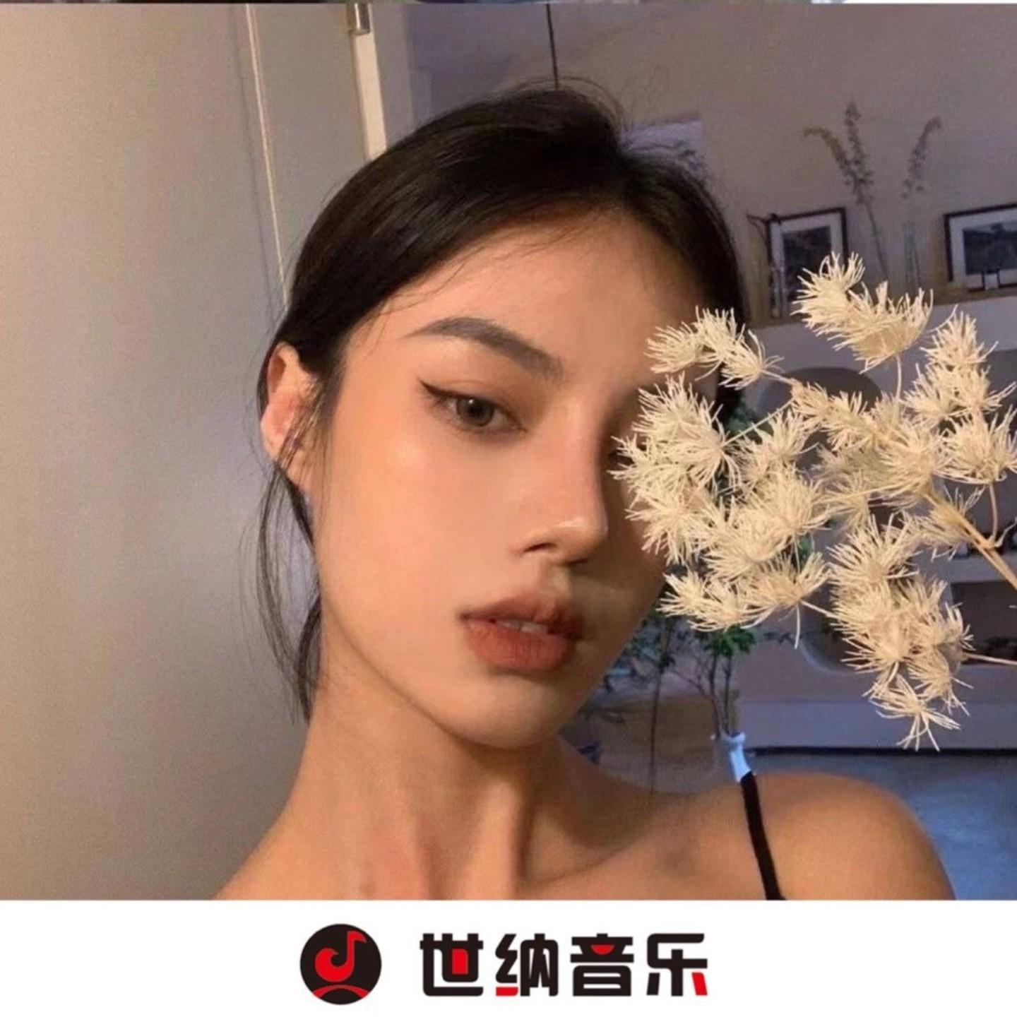断桥烟雨越南嗨曲Dj舞王版封面