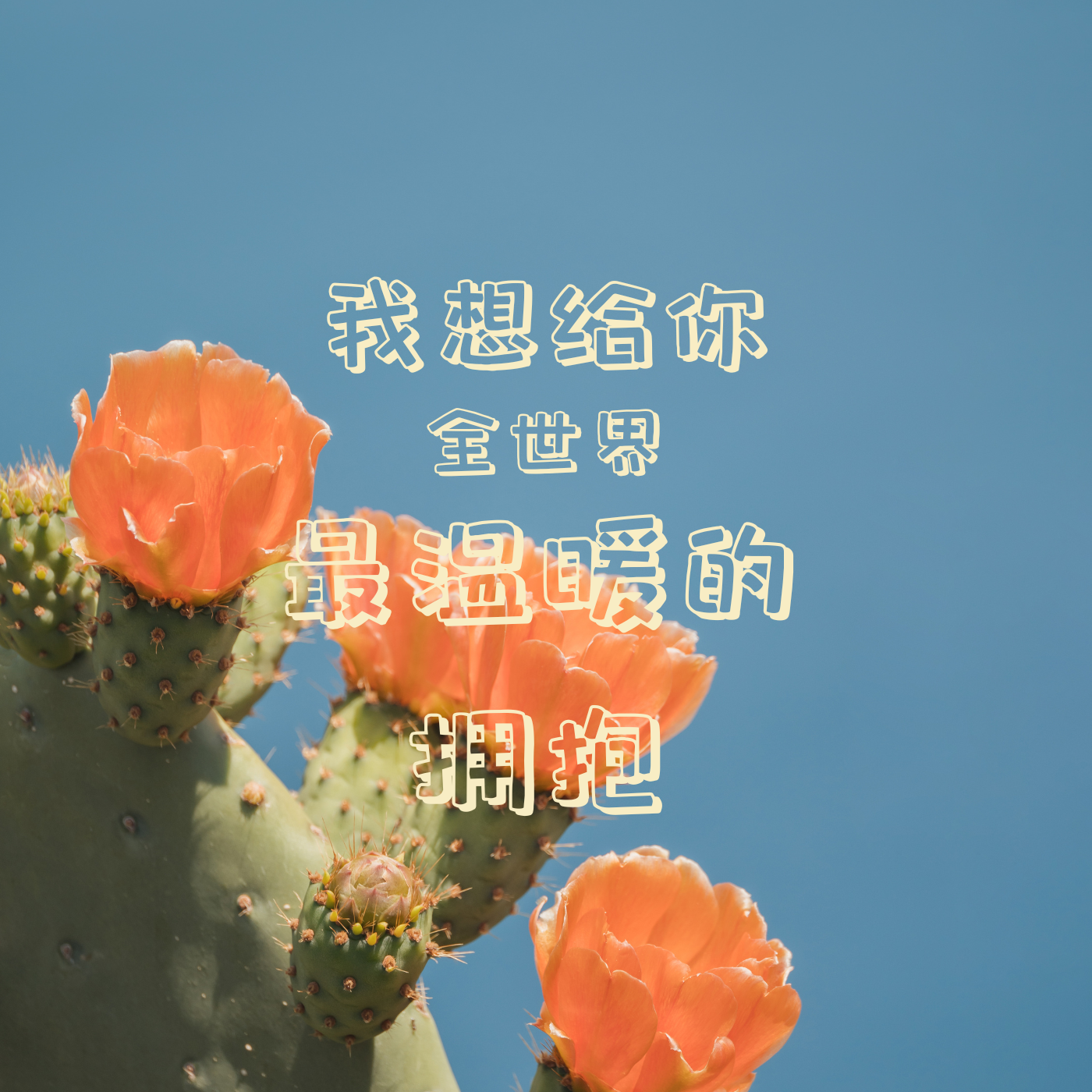 我想给你全世界最温暖的拥抱封面