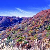 colorful mountain