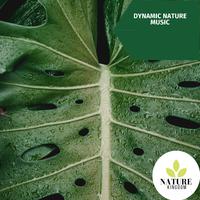 Dynamic Nature Music