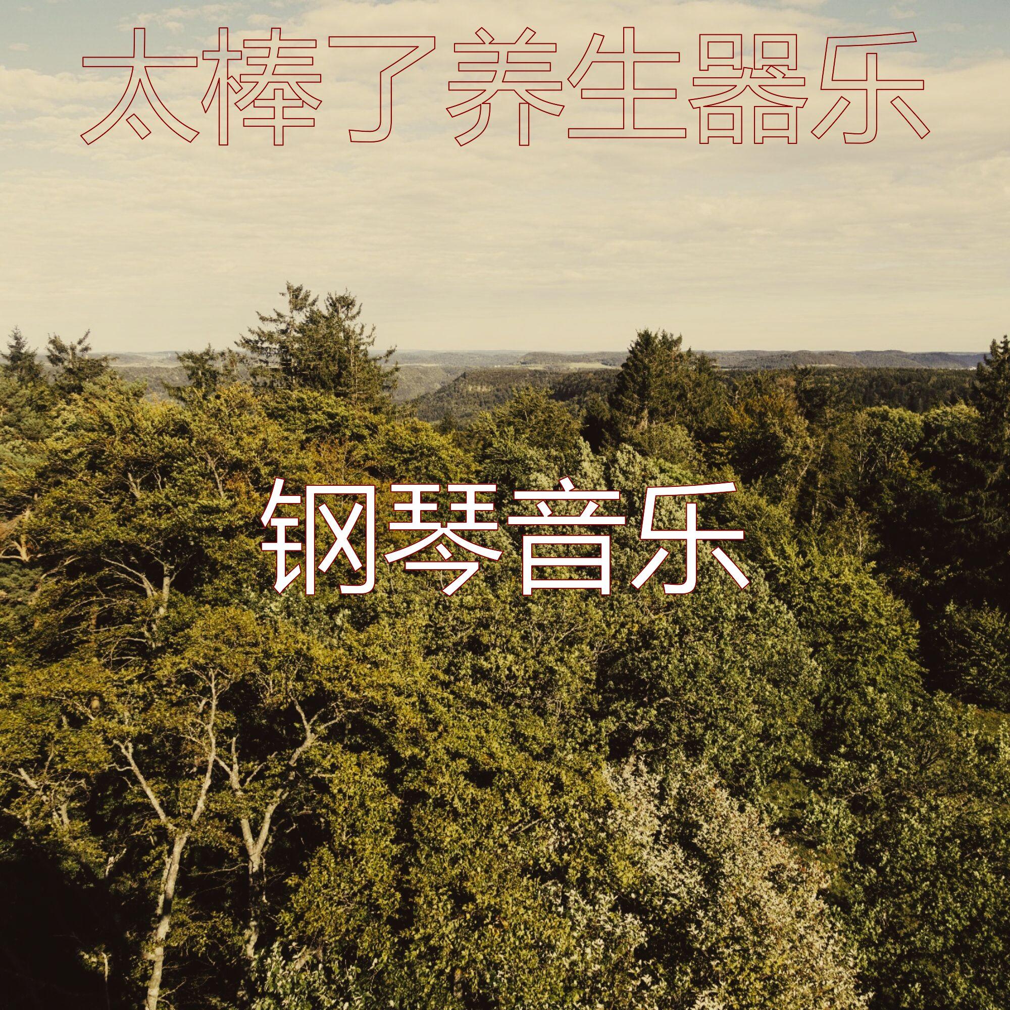 抚慰的养生回忆封面