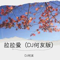 邵雨涵 - 拉拉爱（DJ何友版）