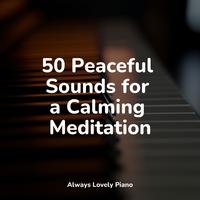 Piano for Studying - Spirit of the Sky