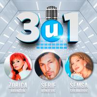 3 u 1 - Serif Konjevic, Zorica Brunclik, Semsa Suljakovic