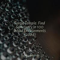 Forest Temple: Find Sanctuary In 100 Wood Environments (2024)