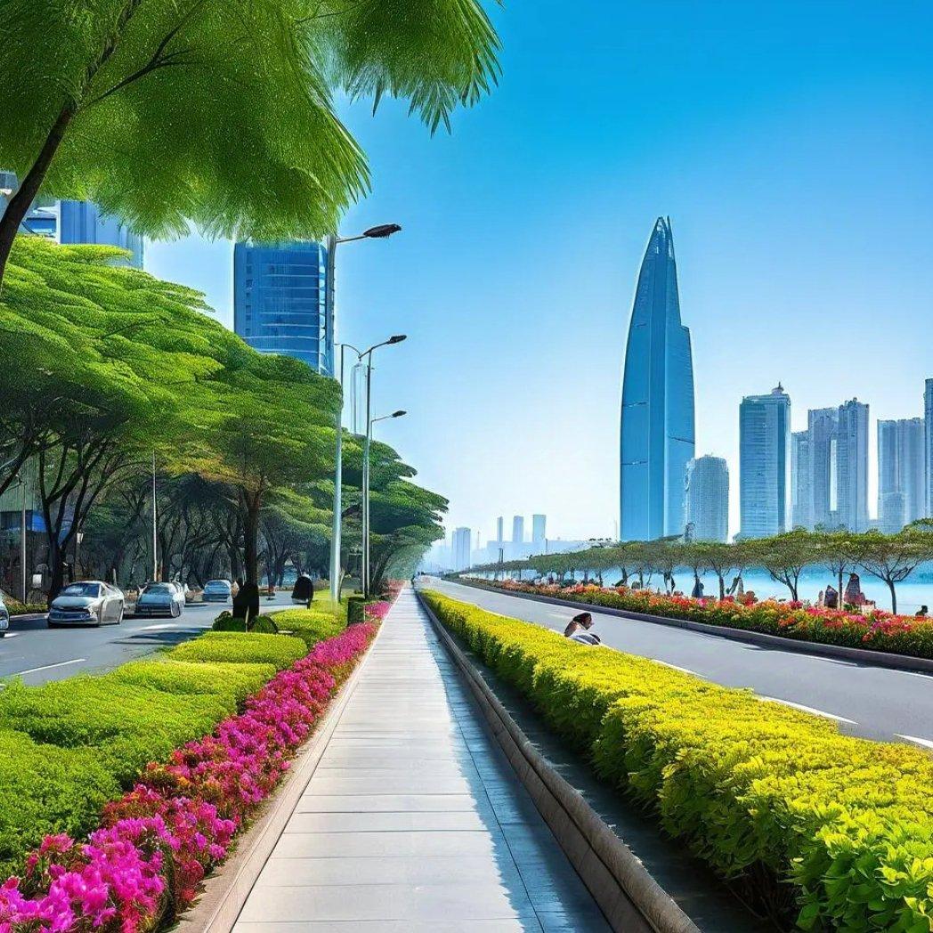 师院南路的风封面