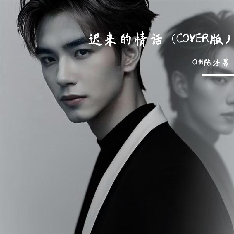 迟来的情话 伴奏封面