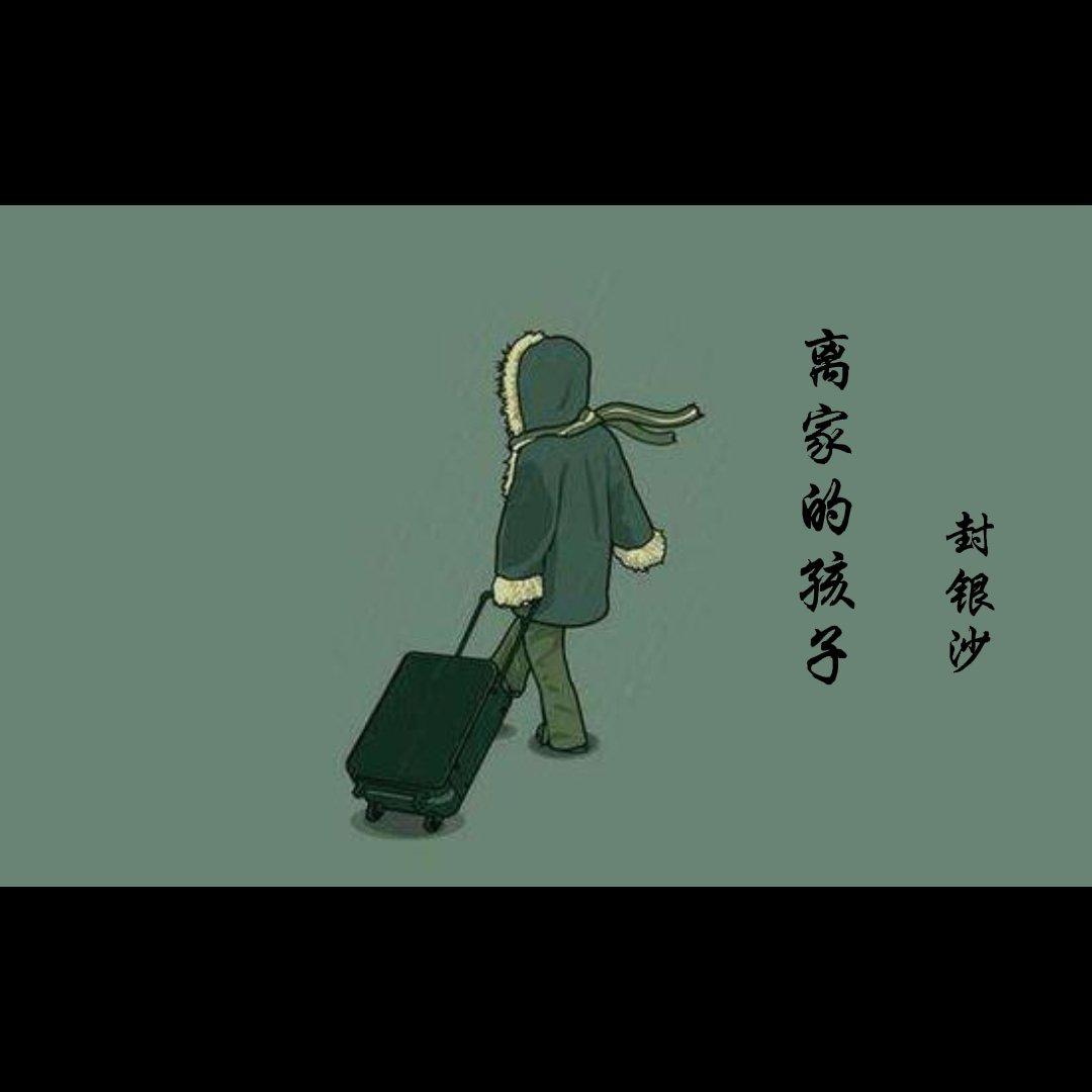 离家的孩子封面