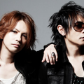 VAMPS