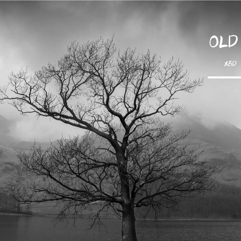 xixi（prod by 金桔ORANG3）