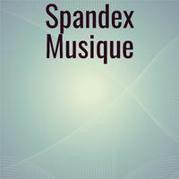 Spandex Musique