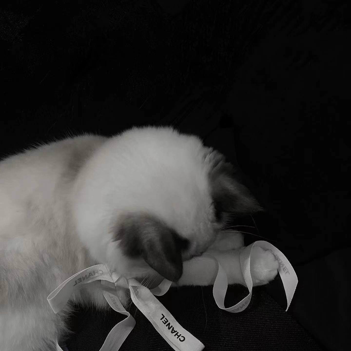 Rihanna-We Found Love（VoSak / GALABRO Remix）