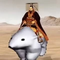 秦始皇骑北极熊 (抽象DJ版)封面