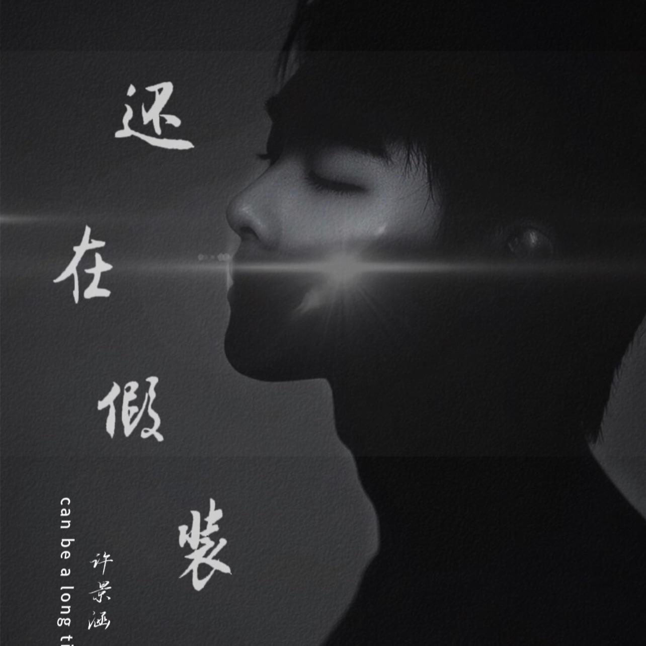 还在假装封面