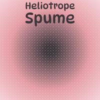 Heliotrope Spume