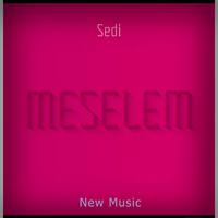 Meselem (feat. Sedi)