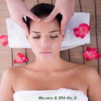 Wellness & Spa, Vol. 6 (Relax Your Mind)