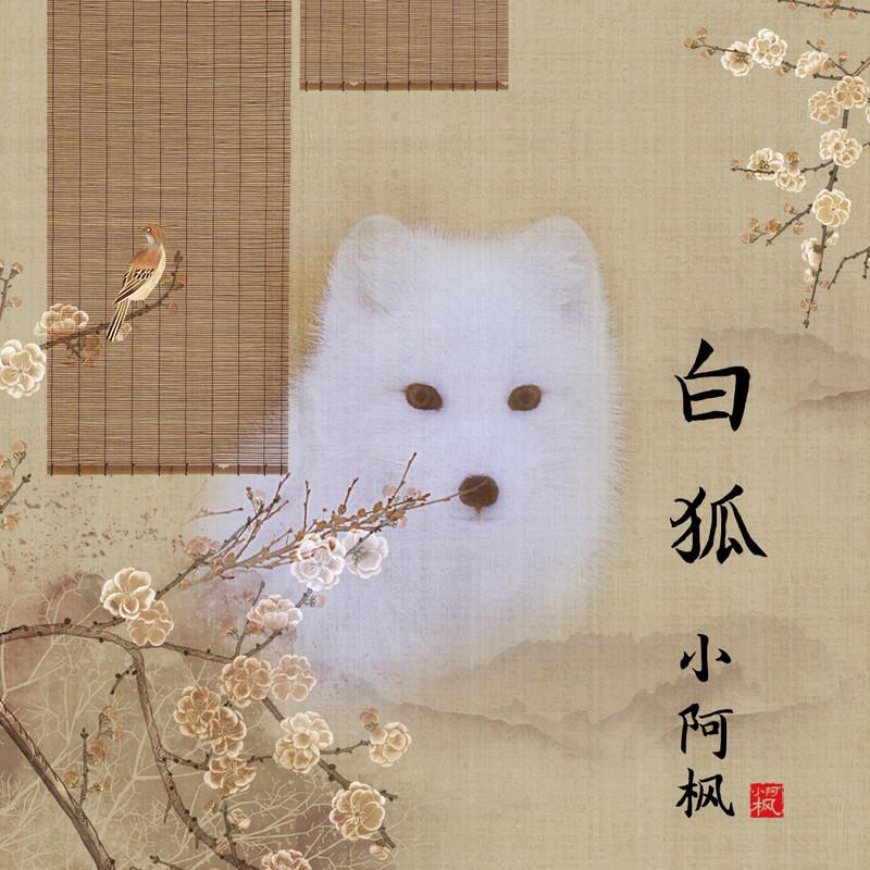 白狐 (DJ光音坊版伴奏)封面