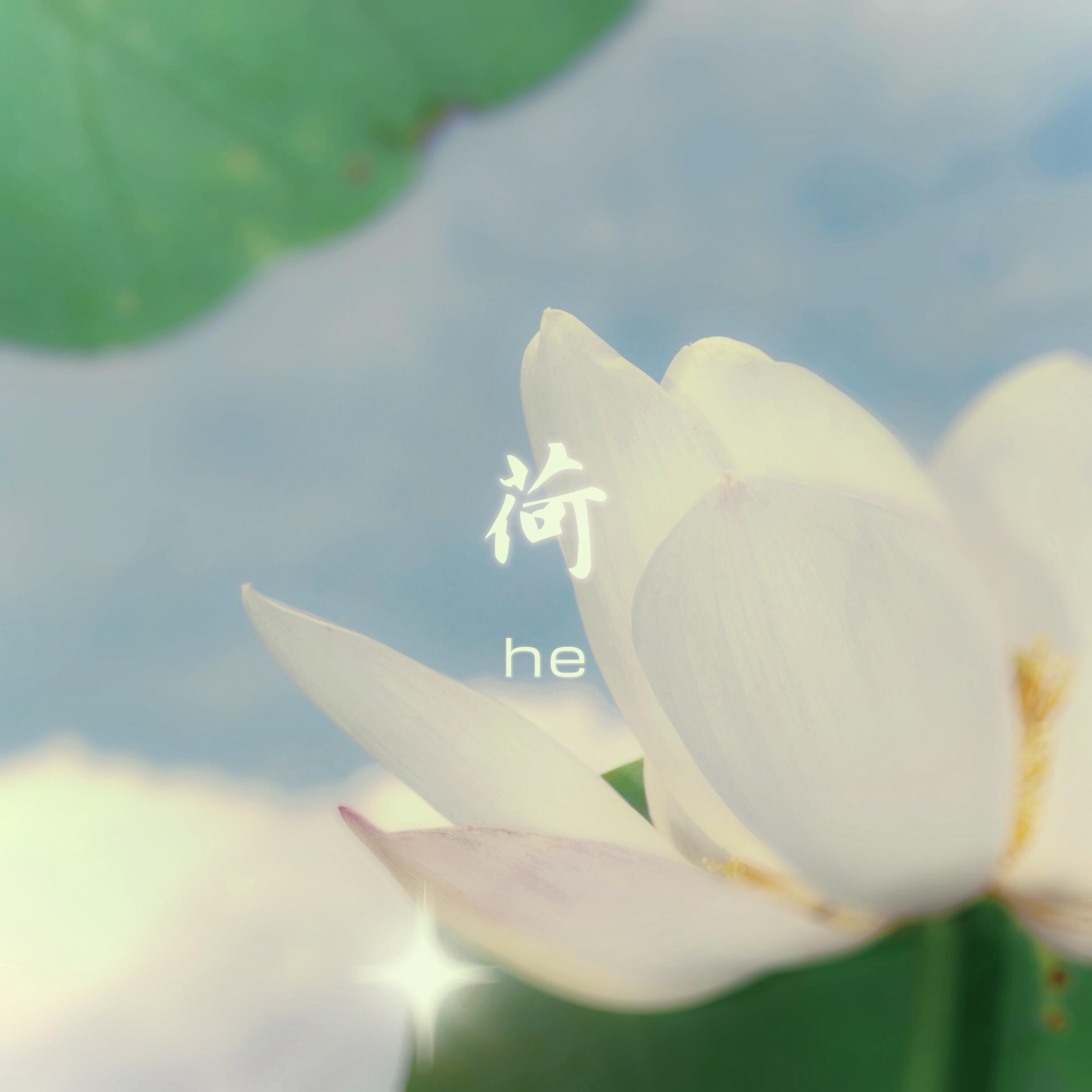 荷_Bebo Lee_荷 | 在线播放_荷歌词_荷下载 | 网易云音乐