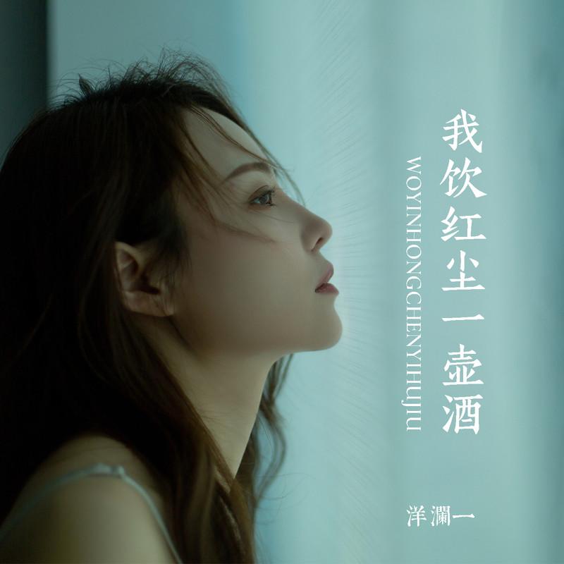 我饮红尘一壶酒 (Live)封面