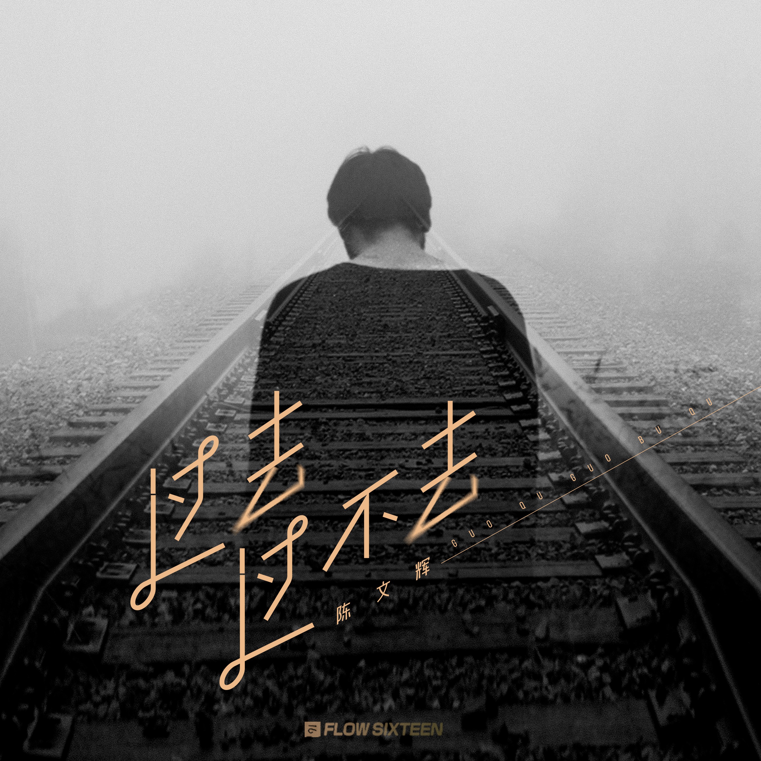 过去过不去 - 陈文辉封面