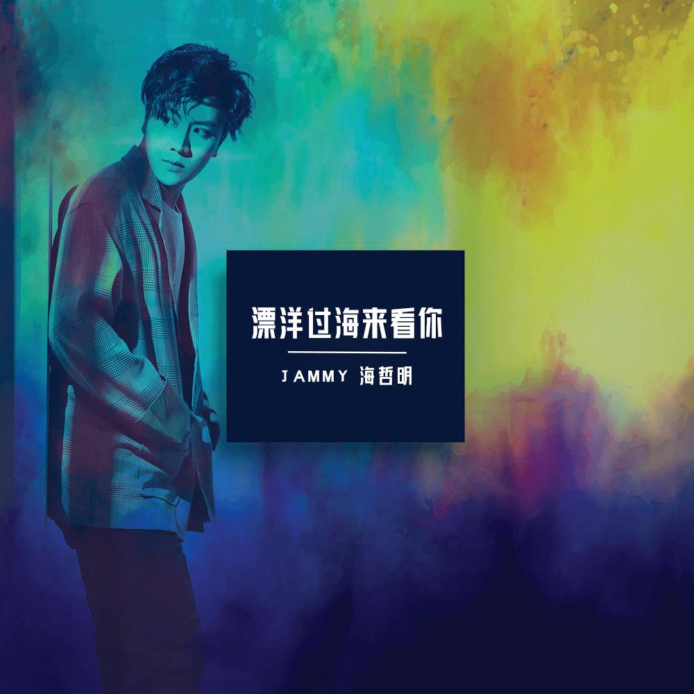 漂洋过海来看你 (伴奏)封面