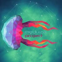 Meduza Project