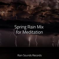 Spring Rain Mix for Meditation