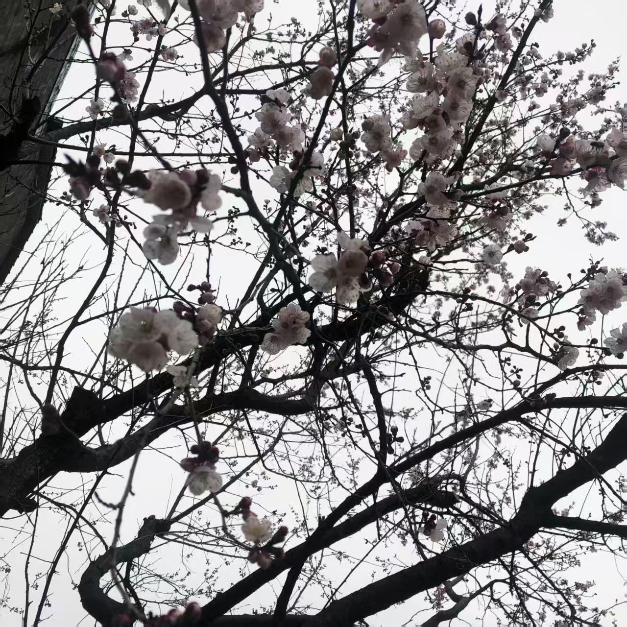 我恨透了離別也恨透了妳