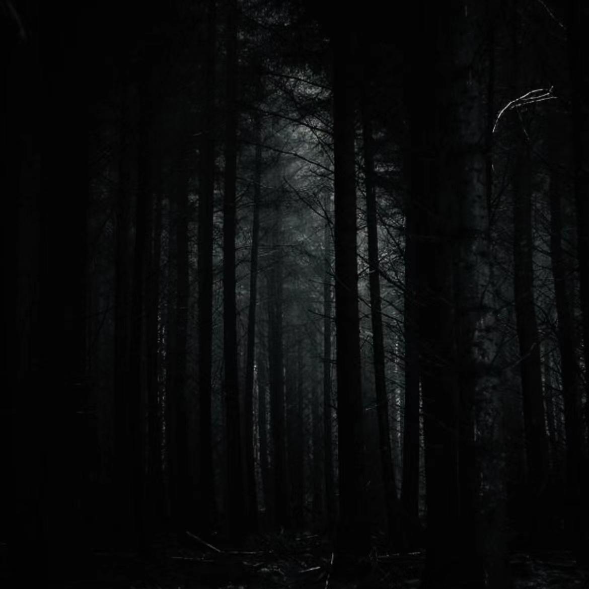 沼泽（Prod.Y-Shane)