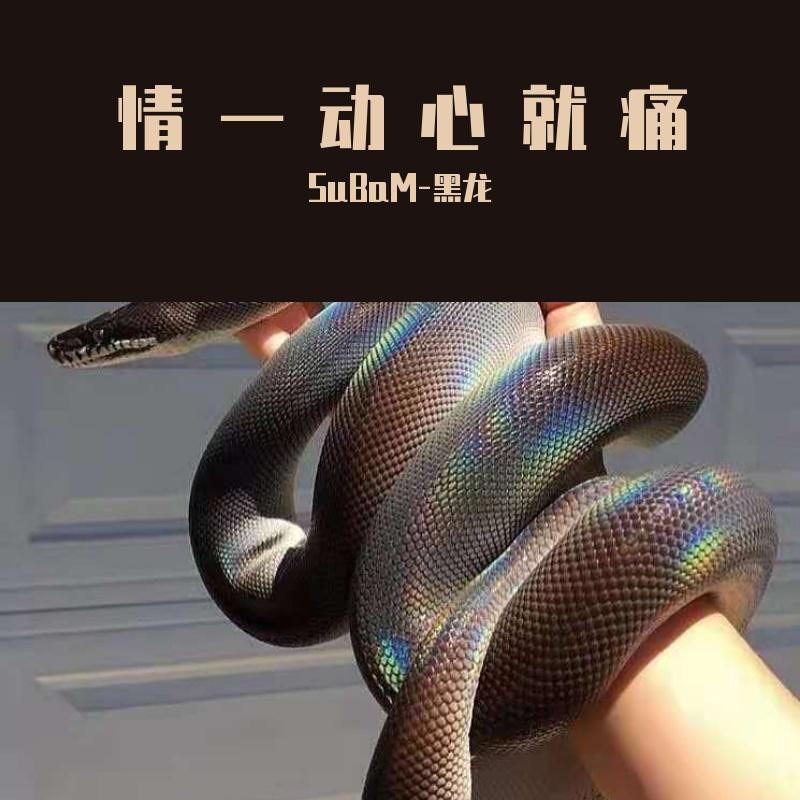 比心更痛的眼眸封面