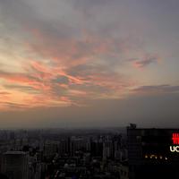 胡杨