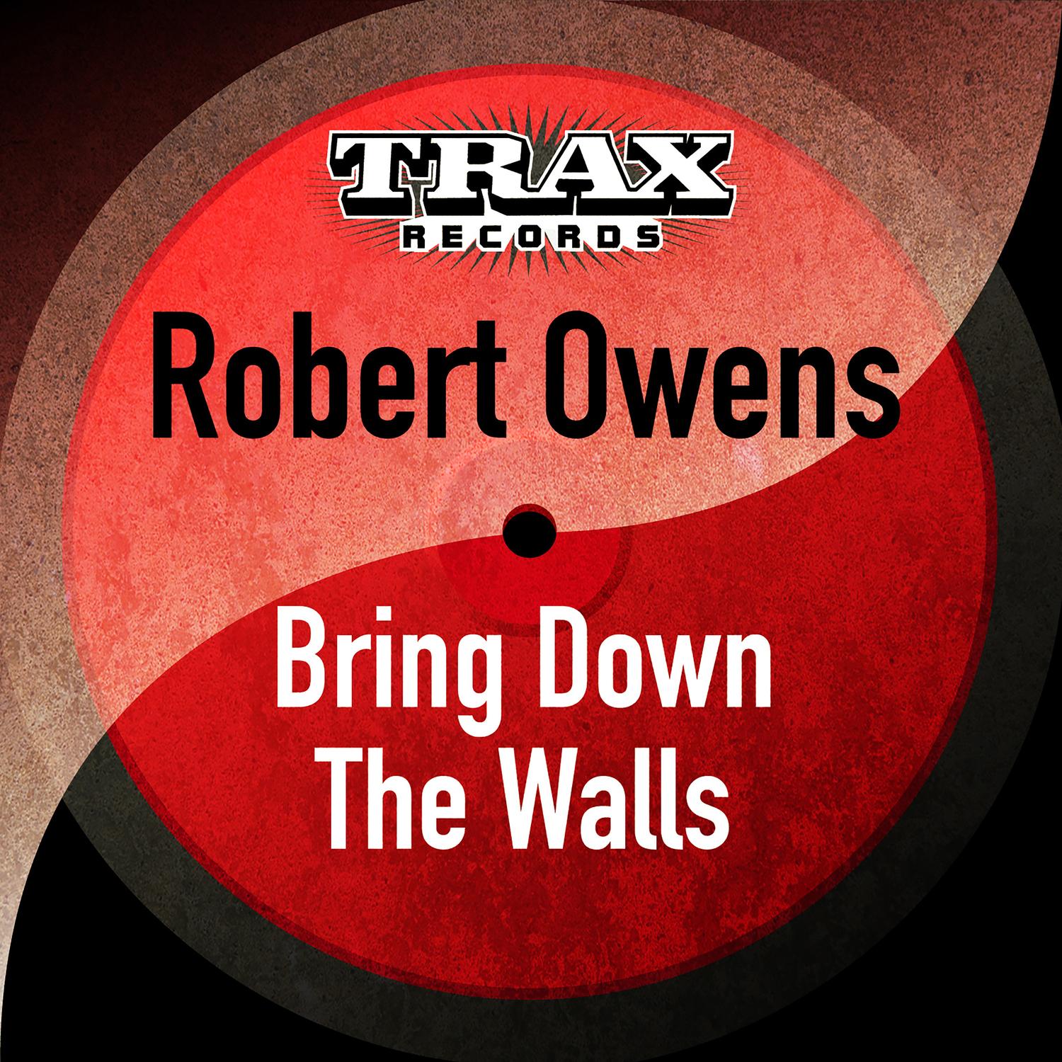 Bring Down the Walls (Dub)