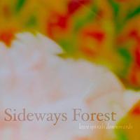 Sideways Forest