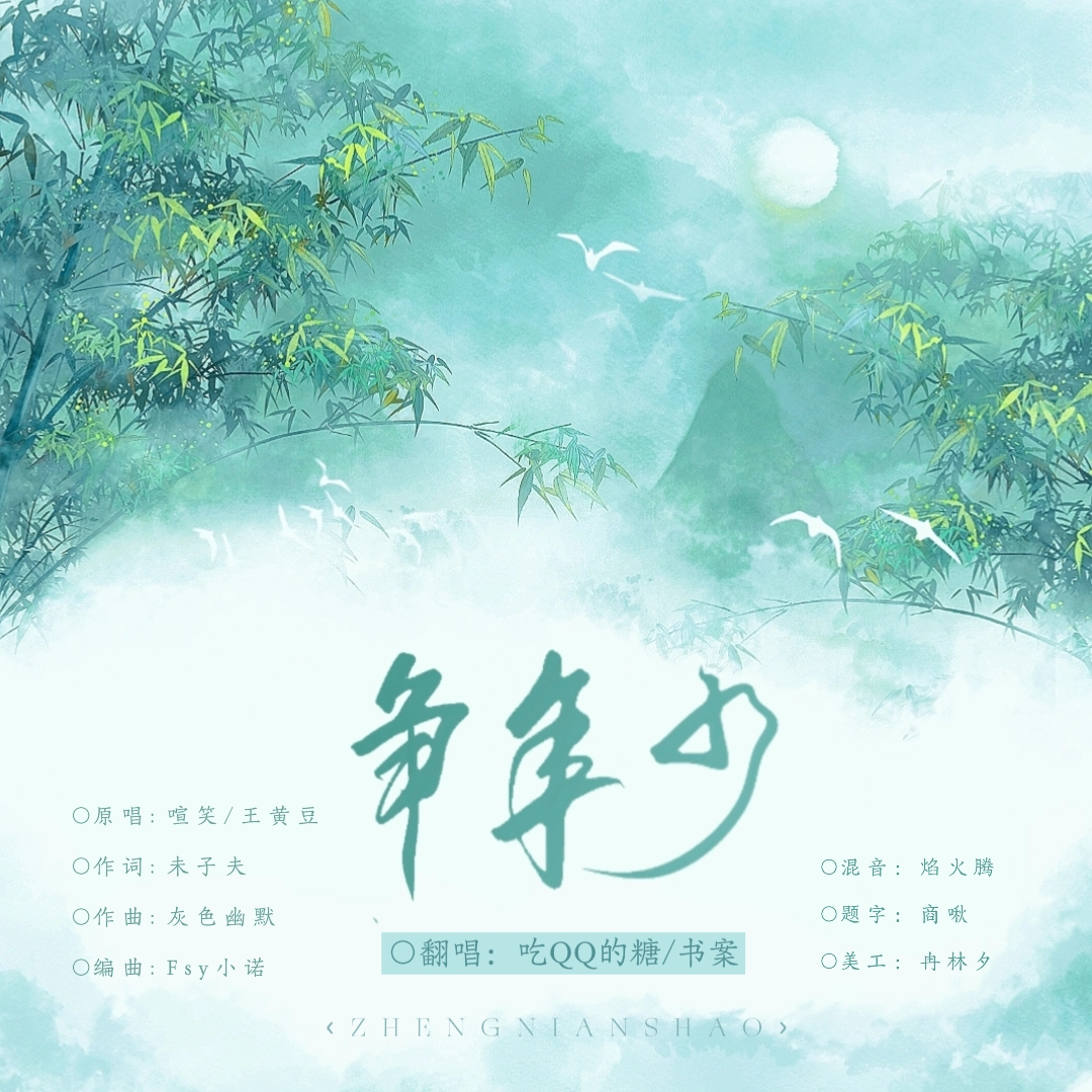 争年少封面