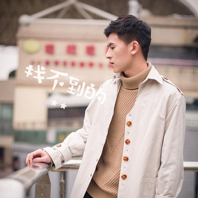 找不到的星星封面