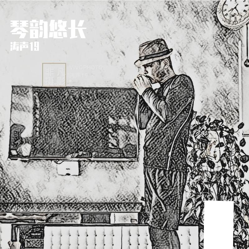 梨花又开放(Live)(口琴)封面