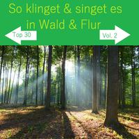 Top 30: So klinget & singet es in Wald & Flur, Vol. 2