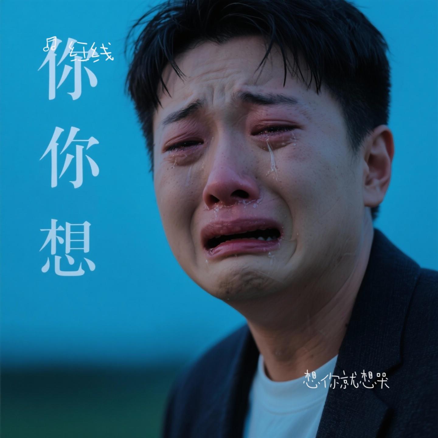 想你就想哭（Cover 欢子）封面