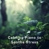 Calming Piano to Soothe Stress