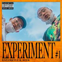 EXPERIMENT, Vol. 1