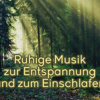 Ruhige Musik als Einschlafhilfe资料,Ruhige Musik als Einschlafhilfe最新歌曲,Ruhige Musik als EinschlafhilfeMV视频,Ruhige Musik als Einschlafhilfe音乐专辑,Ruhige Musik als Einschlafhilfe好听的歌