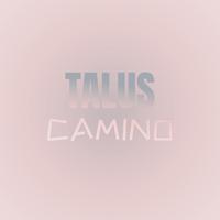 Talus Camino