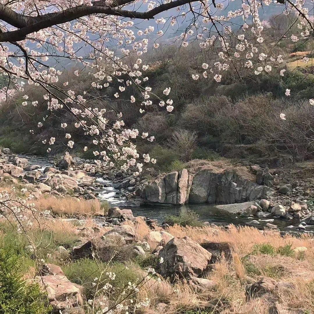 Xin Đừng Nhấc Máy(Extended Mix)