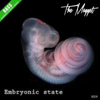 Embryonic State