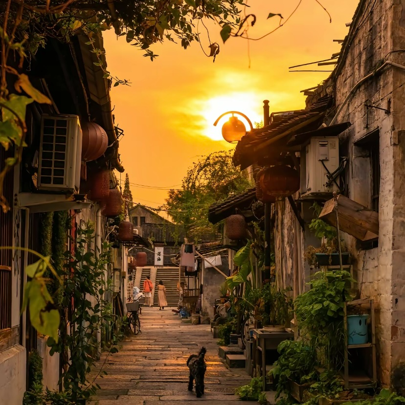 风月藏盏封面